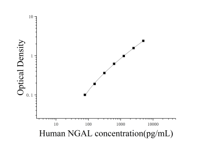 人中性粒细胞明胶酶相关脂质运载蛋白(NGAL)ELISA检测试剂盒 [货号:JL11263]