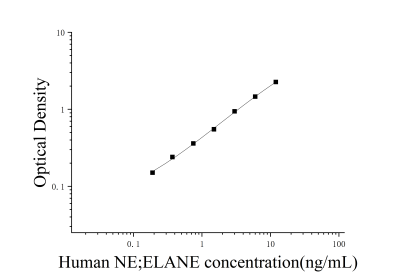 人中性粒细胞弹性蛋白酶(NE;ELANE)ELISA检测试剂盒 [货号:JL12352]