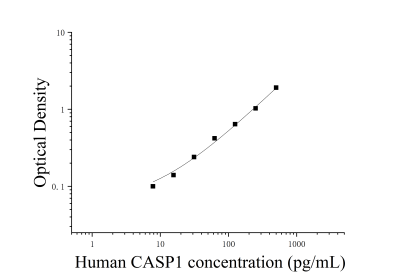 人胱天蛋白酶1(CASP1)ELISA检测试剂盒 [货号:JL14728]