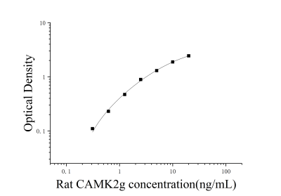 大鼠钙/钙调蛋白依赖性蛋白激酶Ⅱγ(CAMK2g)ELISA检测试剂盒 [货号:JL14959]