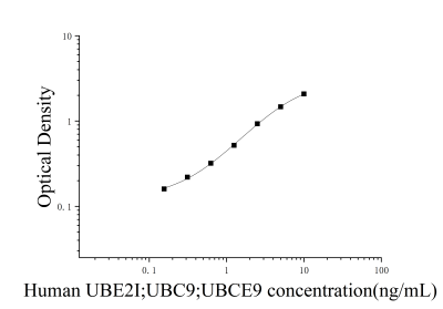 人泛素结合酶E2C结合蛋白E2I(UBE2I;UBC9;UBCE9)ELISA检测试剂盒 [货号:JL15284]