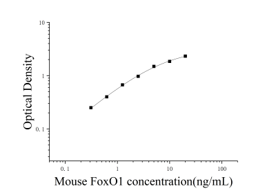 小鼠叉头框蛋白01(FoxO1)ELISA试剂盒 [货号:JL20287]