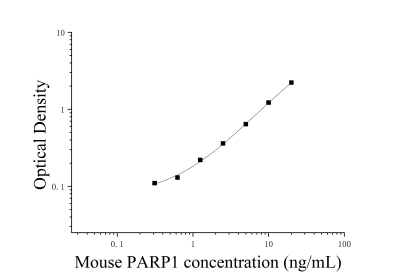 小鼠聚(ADP核糖)聚合酶1(PARP1)ELISA检测试剂盒 [货号:JL23974]
