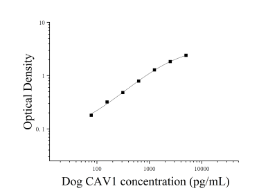 犬窖蛋白(CAV1)ELISA检测试剂盒 [货号:JL26775]