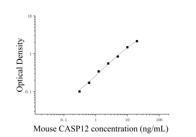 小鼠半胱氨酸天冬氨酸特异性蛋白酶12（CASP12） ELISA检测试剂盒 [货号:JL37536]