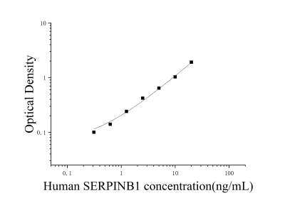 人丝氨酸蛋白酶抑制剂B1(SERPINB1)ELISA检测试剂盒 [货号:JL40855]