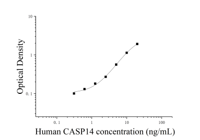 人胱天蛋白酶14(CASP14)ELISA检测试剂盒 [货号:JL42577]