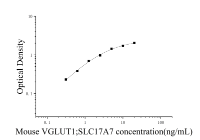 小鼠囊泡谷氨酸转运蛋白1(VGLUT1;SLC17A7)ELISA检测试剂盒 [货号:JL51497]